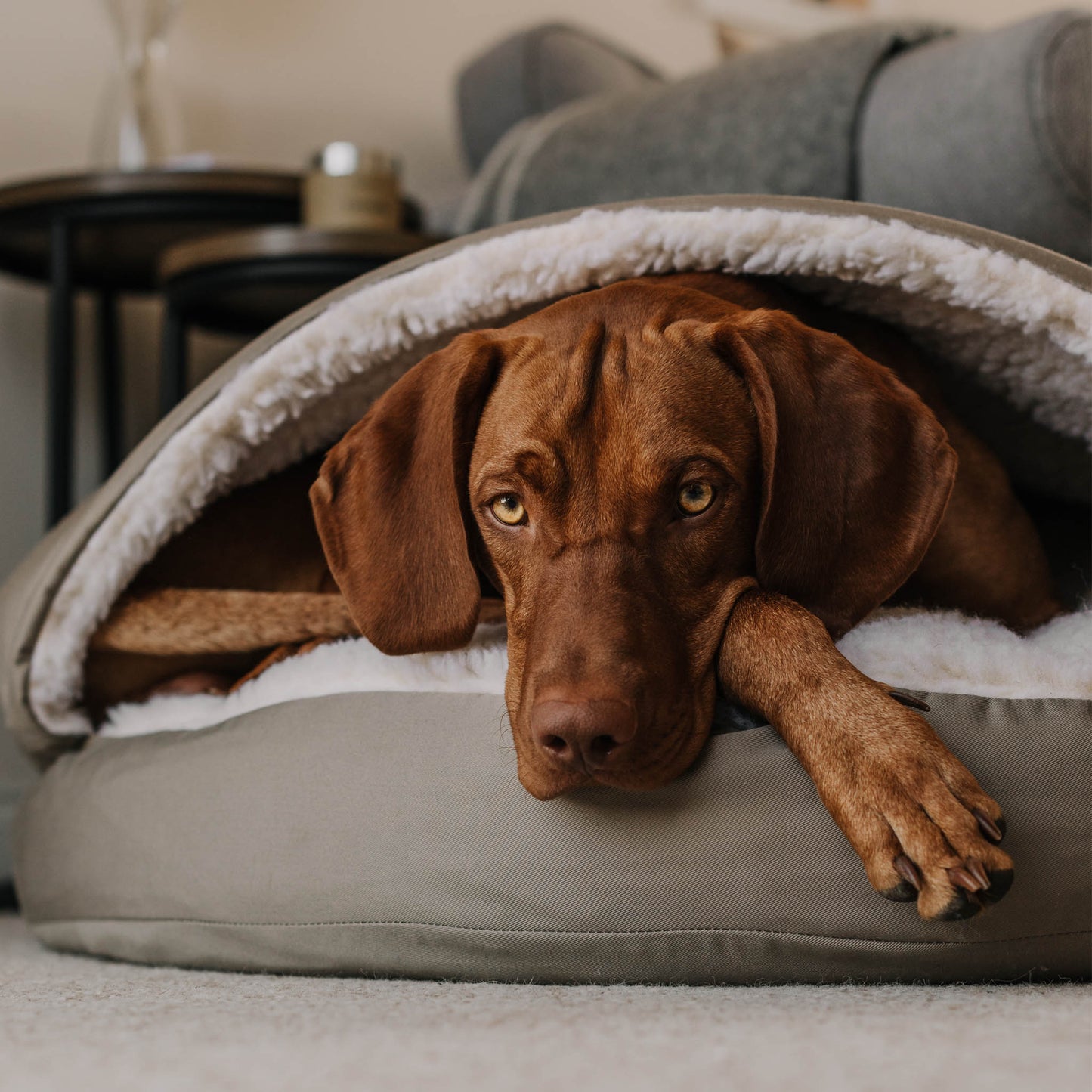 Dog cave bed - khaki