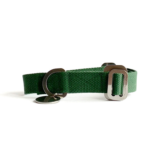 Green - slot and lock buckle dog collar